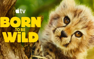 Apple TV pubblica il trailer di “Born to be Wild”: la nuova docuserie sugli animali in pericolo