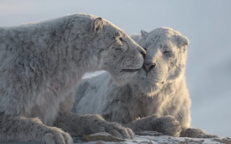 Apple TV+ annuncia la nuova serie “Prehistoric Planet: Ice Age”