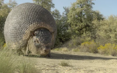 Apple TV+ annuncia la nuova serie “Prehistoric Planet: Ice Age”