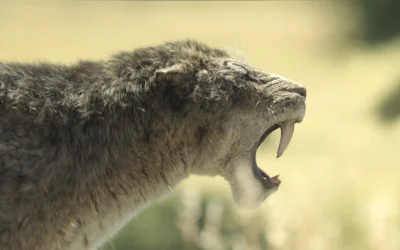 Apple TV+ annuncia la nuova serie “Prehistoric Planet: Ice Age”