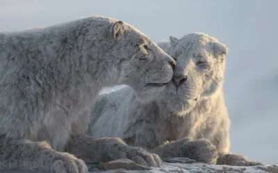 Apple TV+ annuncia la nuova serie “Prehistoric Planet: Ice Age”