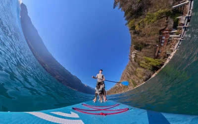 DJI rivoluziona il mercato delle fotocamere a 360 gradi con l’Osmo 360